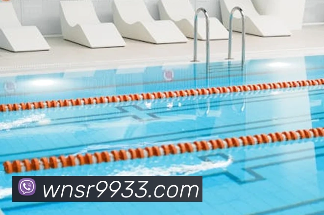 多彩内容专区